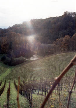 eika image